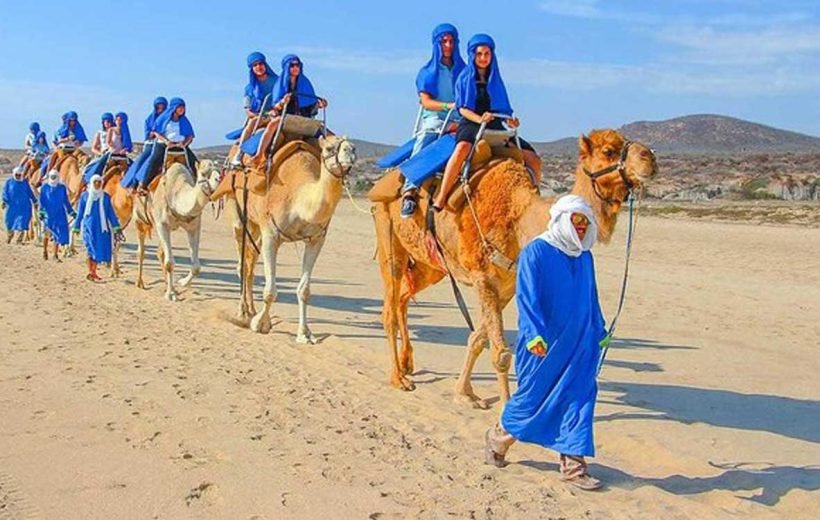 Agadir camel ride