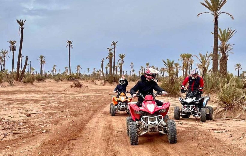 Quad Bike in Palmraie