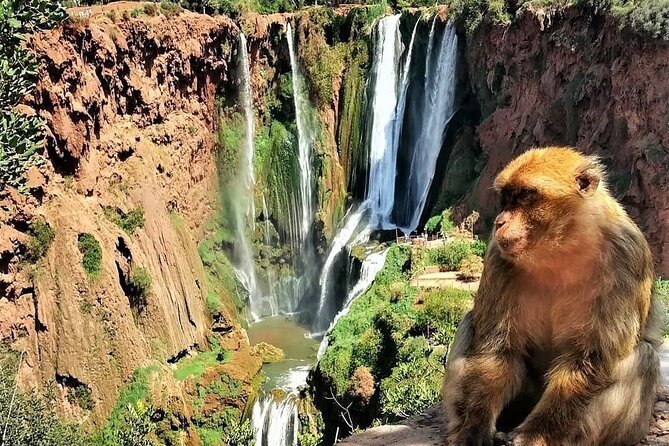 Ouzoud Waterfalls