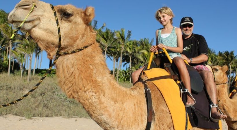 Camel Ride in Taghazout